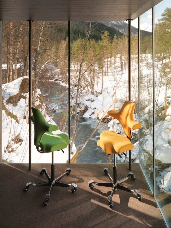 HAG Capisco Saddle Chair Snapshot