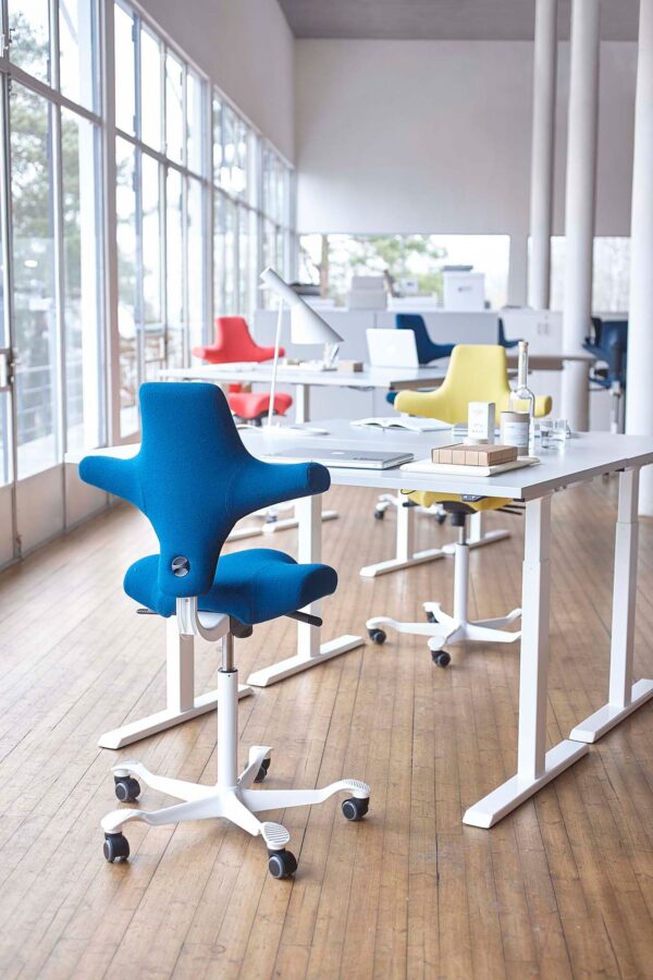 HAG Capisco Saddle Chair Snapshot