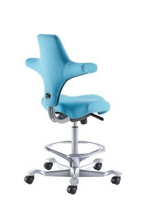 Hag Capisco Saddle Seat with Back and Footring - Rear View