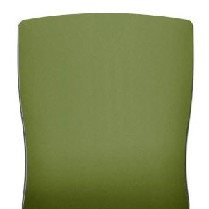 AIS-Mirador-Light-Green