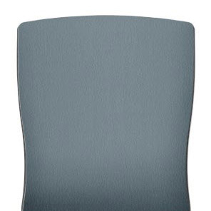 AIS-Wellsley-Williamsburg