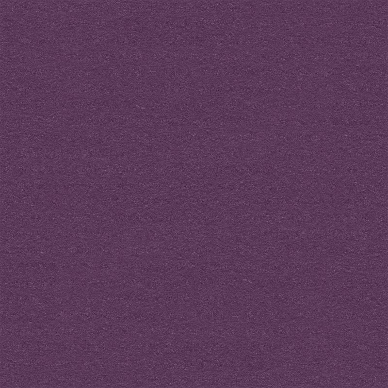 Camira_Blazer_Holyoke