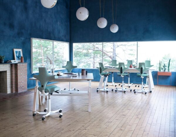 HAG Capisco Puls Saddle Seat Snapshot