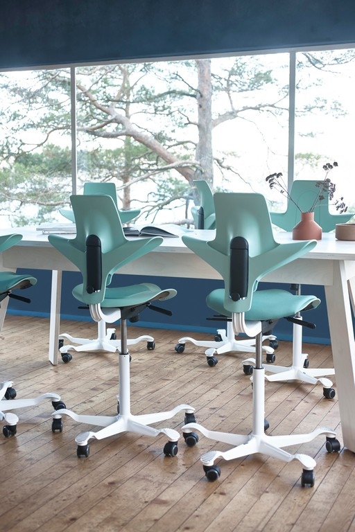 HAG Capisco Puls Saddle Seat Snapshot