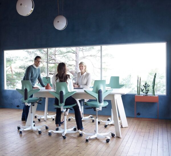 HAG Capisco Puls Saddle Seat Snapshot