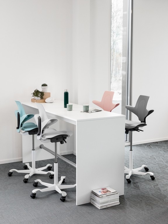 HAG Capisco Puls Saddle Seat Snapshot