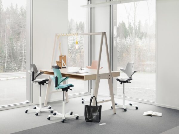 HAG Capisco Puls Saddle Seat Snapshot