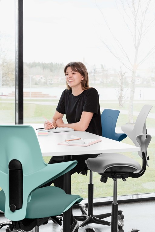 HAG Capisco Puls Saddle Seat Snapshot