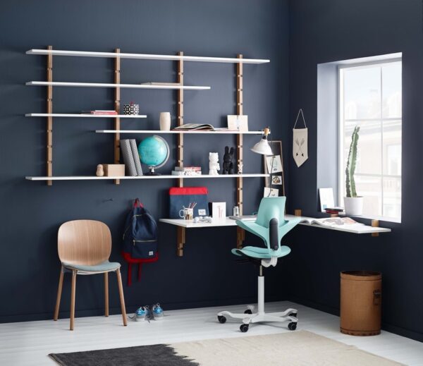 HAG Capisco Puls Saddle Seat Snapshot