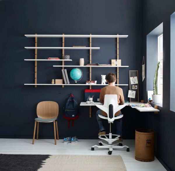 HAG Capisco Puls Saddle Seat Snapshot