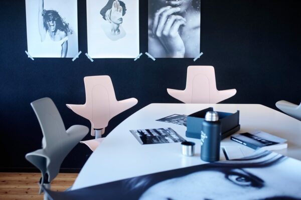 HAG Capisco Puls Saddle Seat Snapshot