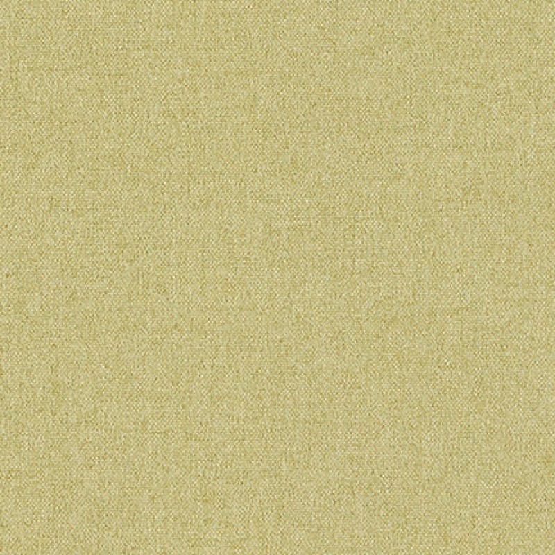 Mayer_Fedora_Eucalyptus