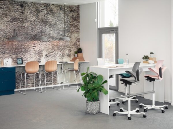 HAG Capisco Puls Saddle Seat Snapshot