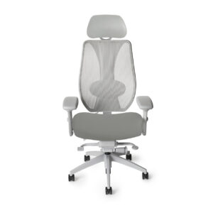 tCentric Hybrid Light Gray Frame with 2053 Asteroid Seat Color with Headrest, front view