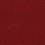 ft-fourtis-winterberry