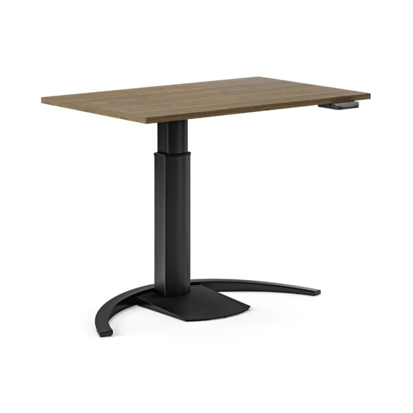 height adjustable desk black 21