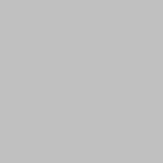 silver-10
