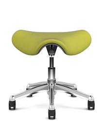 Standard Seat Height