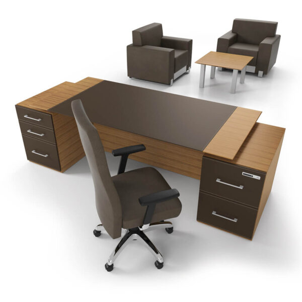 Artopex Wood Veneer Essentia Conference