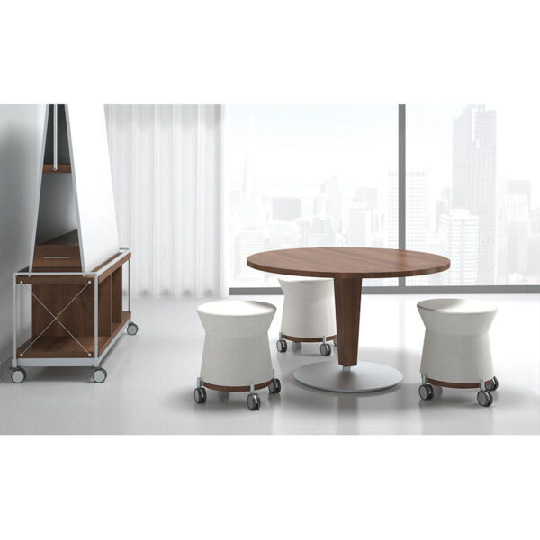 JSI Collective Motion