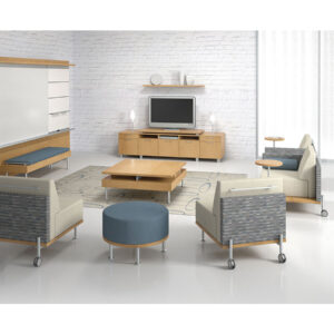 JSI Collective Motion