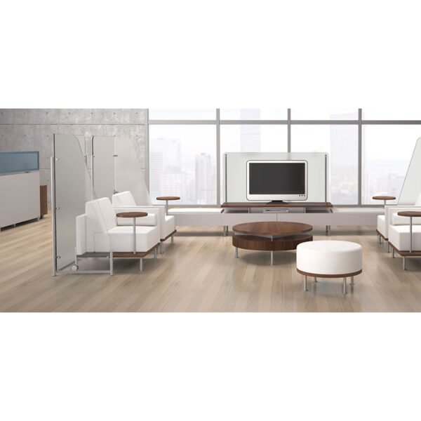 JSI Collective Motion