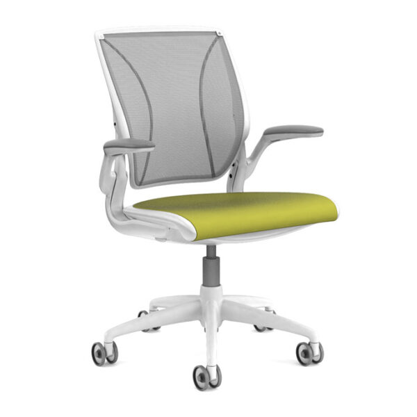 Humanscale Diffrient World Conference Chair*