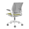 Humanscale Diffrient World Conference Chair*