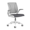 Humanscale Diffrient World Task Chair*