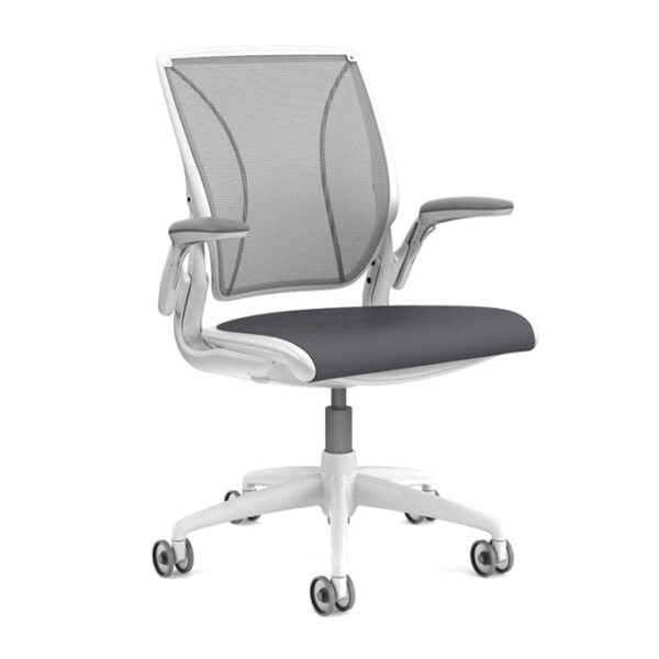 Humanscale Diffrient World Task Chair*