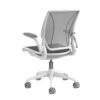 Humanscale Diffrient World Task Chair*