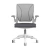 Humanscale Diffrient World Task Chair*