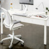 Humanscale Diffrient World Conference Chair*