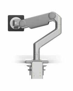 Silver with Gray Trim