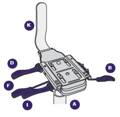 08 Knee Tilt Ratchet Back