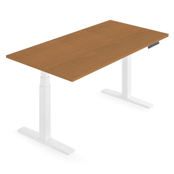 ErgoAdvantage Sit-stand Desk 2.0