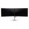 ErgoAdvantage Avia Dual Pole-mount Monitor Arm, 5-20 LB Capacity per Monitor