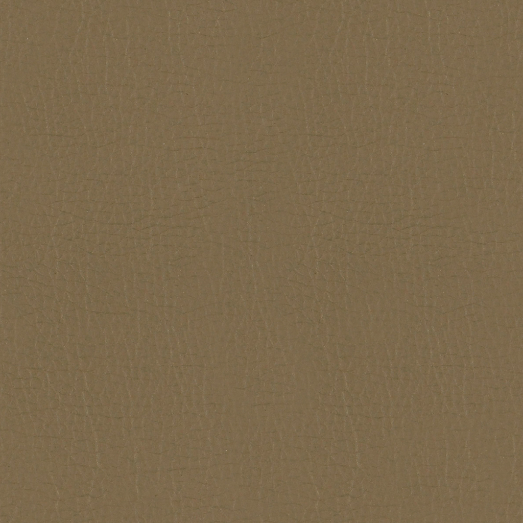 GradeB_Momentum_Canter EPU_Earth