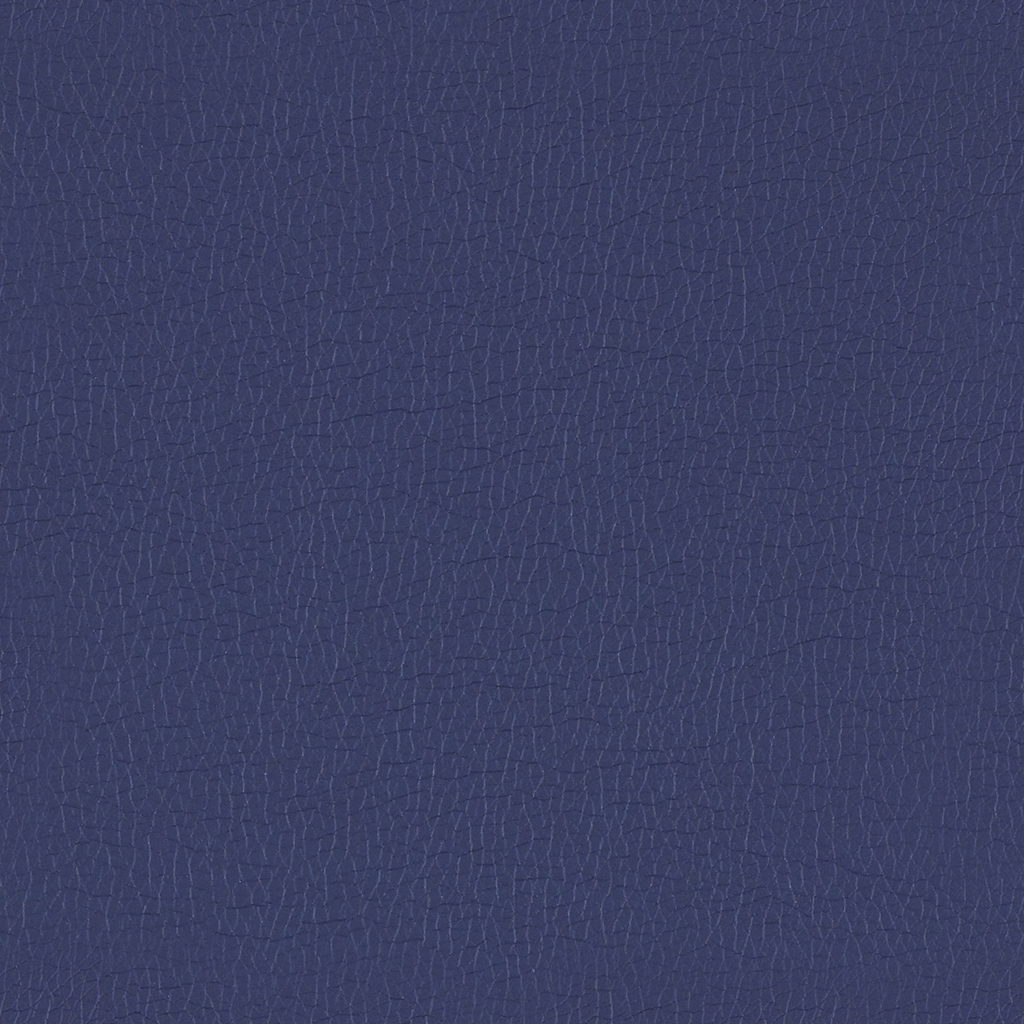 GradeB_Momentum_Canter EPU_Ink