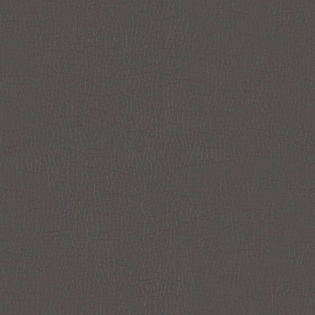 GradeB_Momentum_Canter EPU_Iron