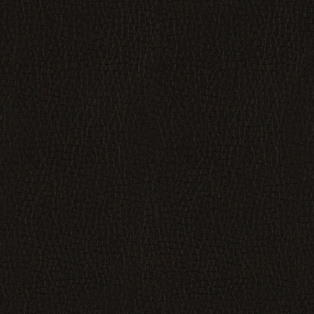 GradeB_Momentum_Canter EPU_Onyx