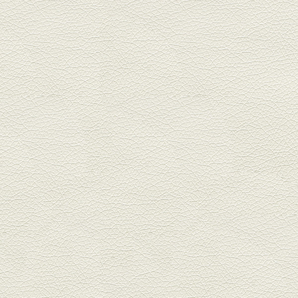 GradeB_Momentum_Canter EPU_Summer White