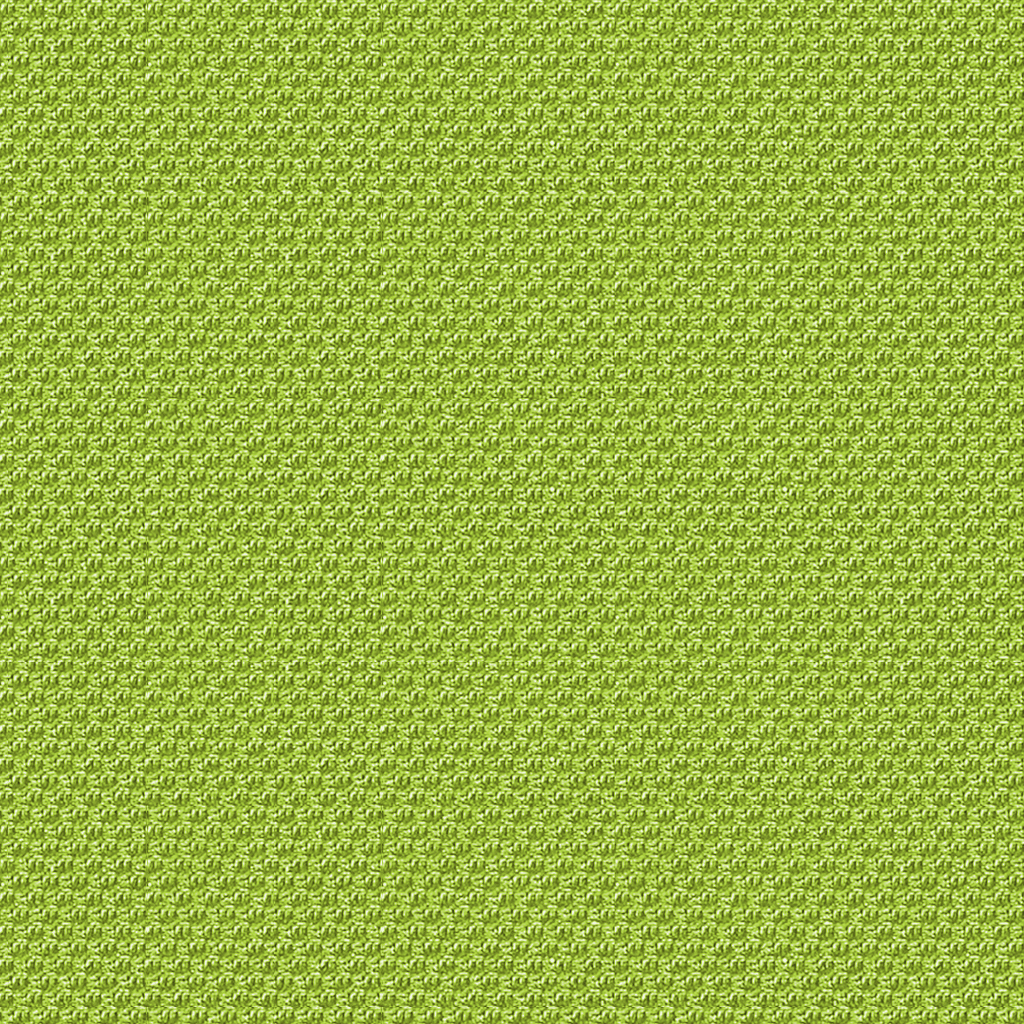 GradeD_Momentum_Eon EPU_Spring