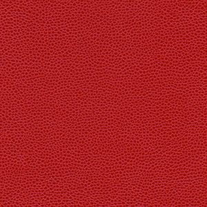 363-1396_BloodOrange
