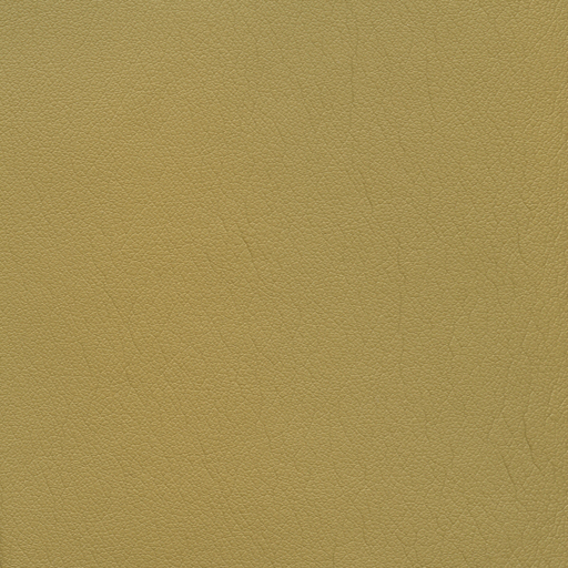 554-3444_ToastedBagel