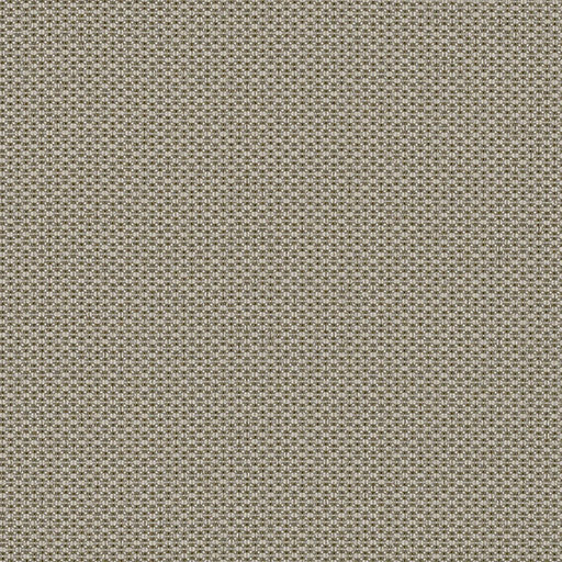 CF Stinson - HD Image - Bryant Park - 6555 Pumice