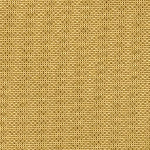 CF Stinson - HD Image - Bryant Park - 6556 Curry