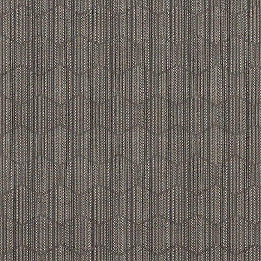 CF Stinson - HD Image - Hive - 63671 Slate