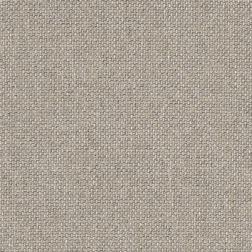 CF Stinson - HD Image - Tribeca - 63741 Dove