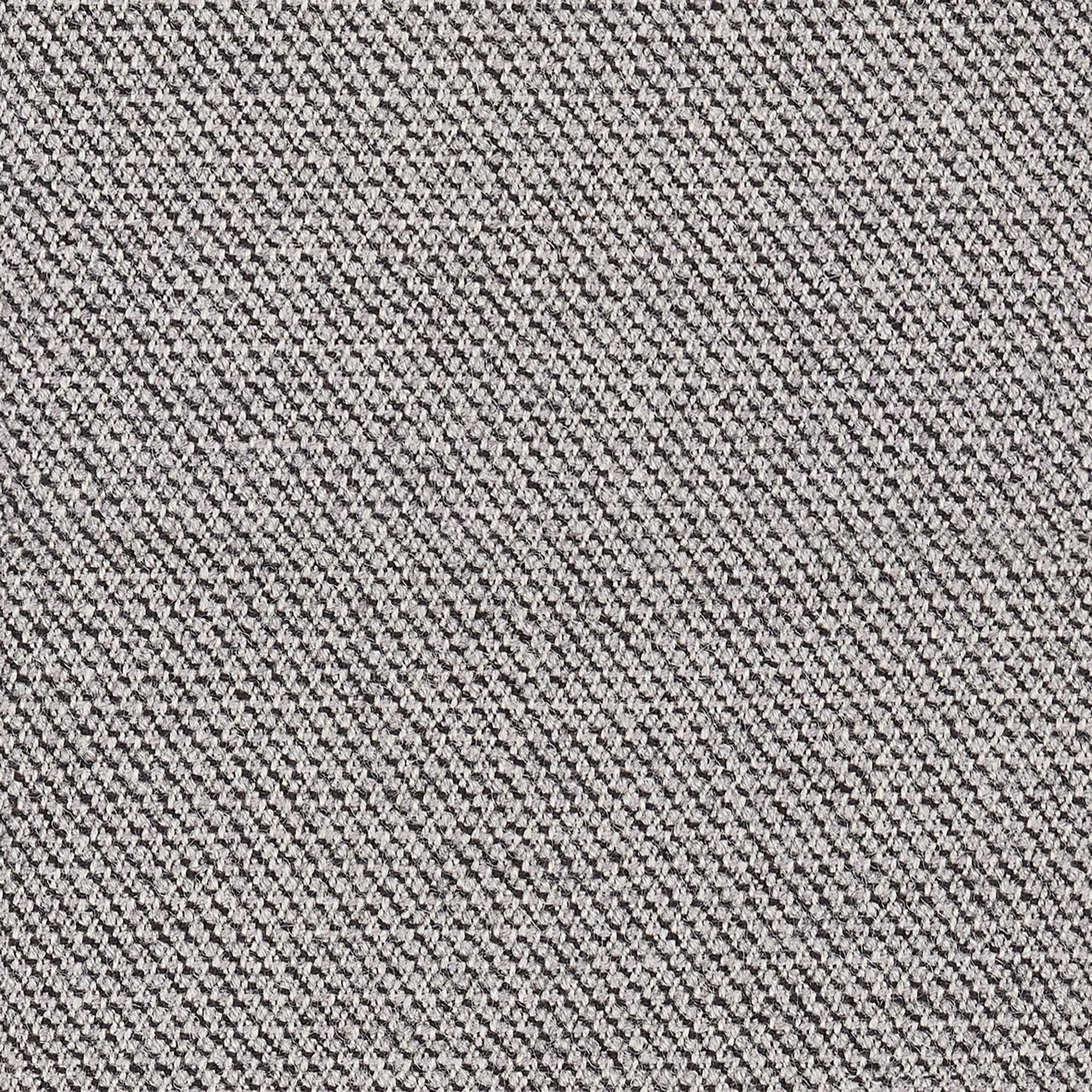 Capture-Greyhound Grey